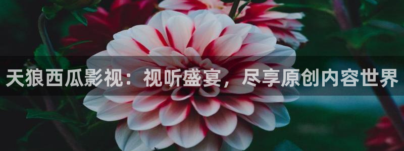 茄子视频qz：天狼西瓜影视：视听盛宴，尽享原创内容世界