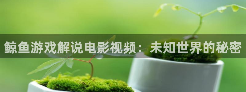 茄子视频a：鲸鱼游戏解说电影视频：未知世界的秘密