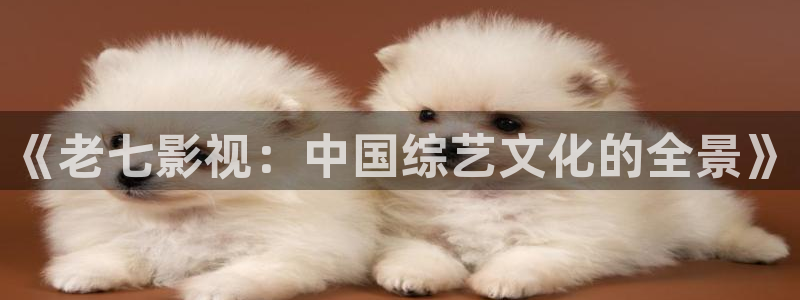 茄子视频18：《老七影视：中国综艺文化的全景》