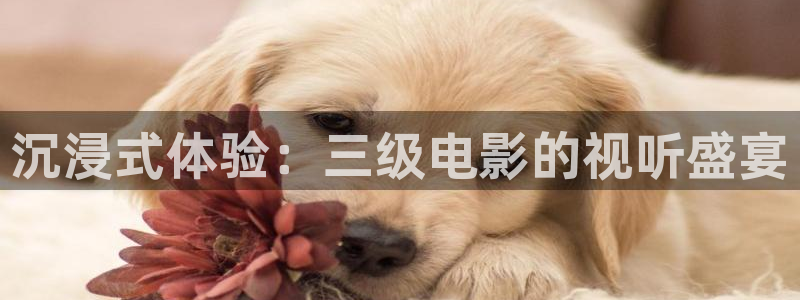 小优视频茄子视频：沉浸式体验：三级电影的视听盛宴