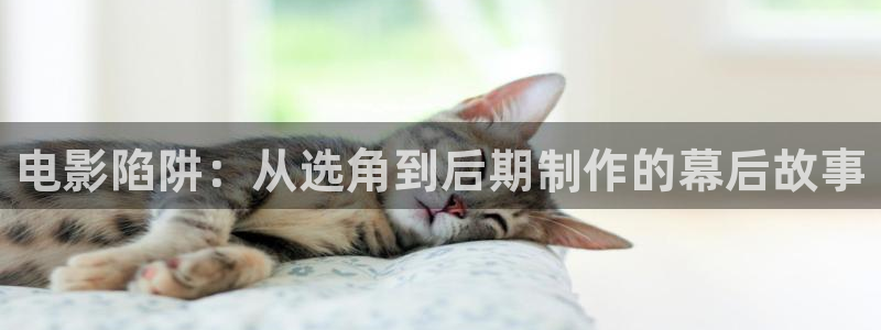 樱桃茄子视频：电影陷阱：从选角到后期制作的幕后故事
