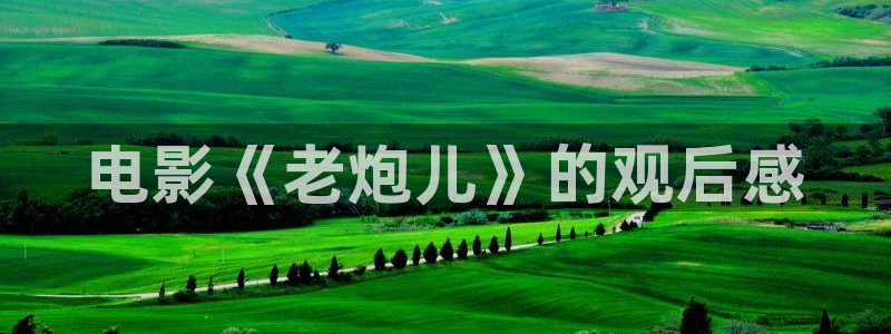 丝瓜茄子视频在线观看：电影《老炮儿》的观后感