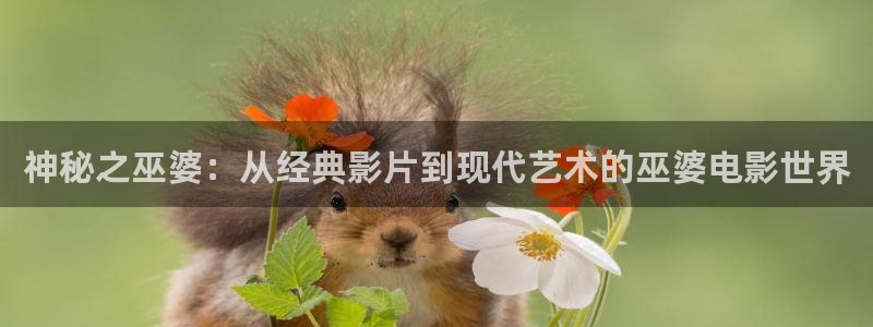 茄子视频a
