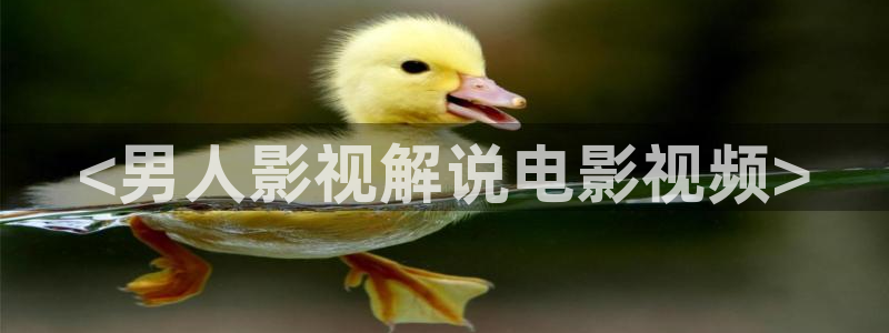 茄子视频了