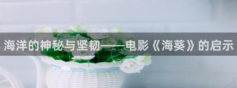 茄子视频 magnet