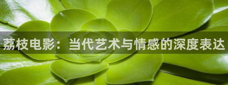 茄子视频无限看丝瓜视频丝瓜视免费观看