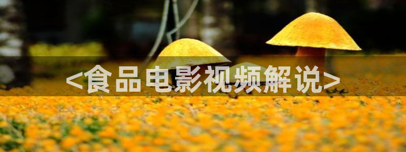 茄子视频www