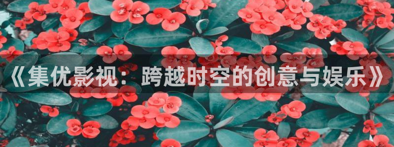 大茄子视频