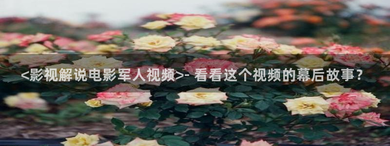 四虎茄子视频