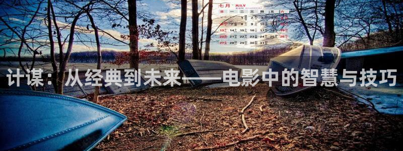 茄子视频www